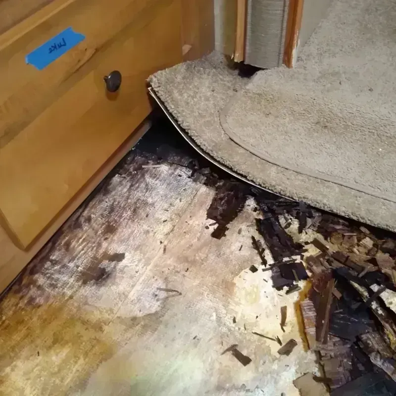 Wood Floor Water Damage in New Kingman-Butler, AZ